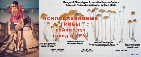марки lsd Абдулино