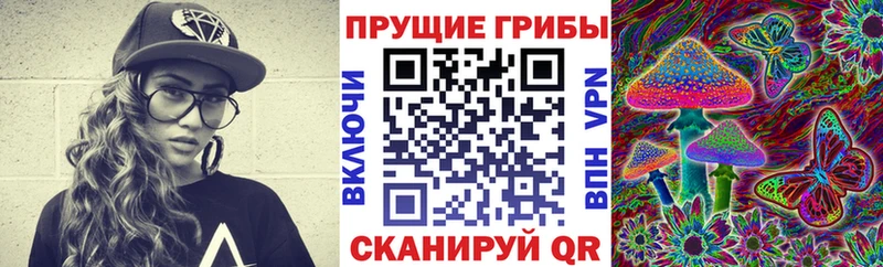 Псилоцибиновые грибы ЛСД  Сусуман 
